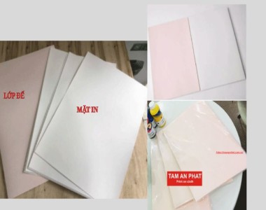 Cảnh Báo: 9/10 Người Đang Dùng Giấy In Đế Hồng SAI CÁCH