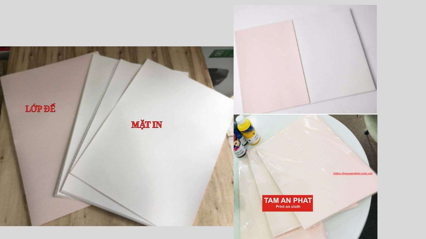 Giấy in chuyển nhiệt đế hồng chính hãng