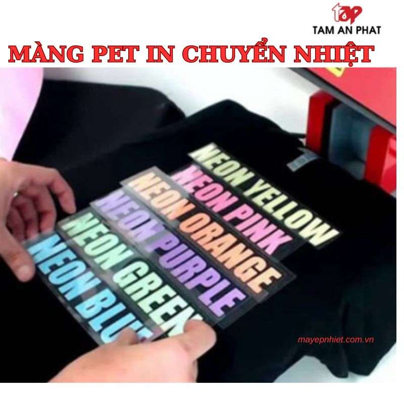 Màng pet in áo tối màu, áo cotton 100%