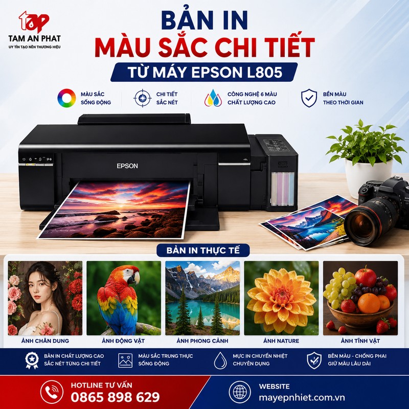 Bản in màu sắc chi tiết từ máy Epson L805